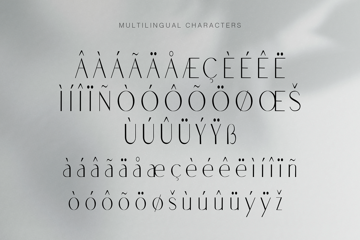 Vlasta Minimal Modern Sans Display, a Sans Serif Font by Cloverons (Photo 12 of 14)