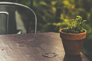 The Velour Color for Lightroom, an Action Add-On by monica-aguinaga (Thumbnail 3 of 5)