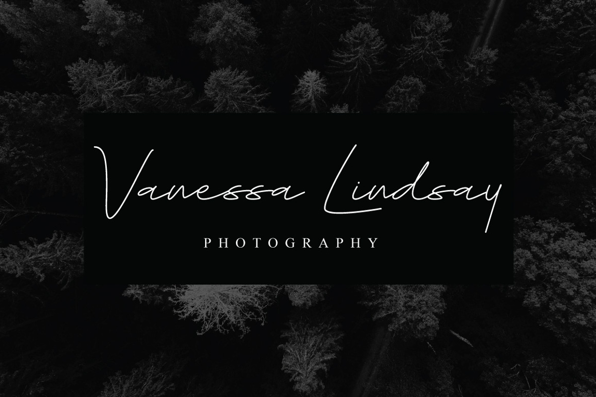 Budapest Script Font ( 6 Fonts ), a Script Font by Digital Hustler (Photo 9 of 10)