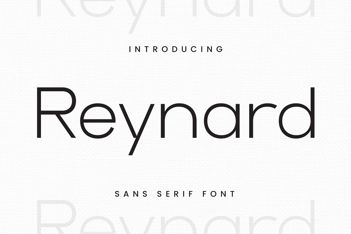Reynard - Thin Elegant Font, a Sans Serif Font by Imoodev (Photo 1 of 5)