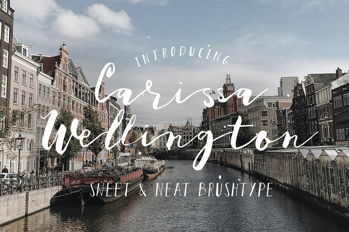 Carissa Wellington Script
