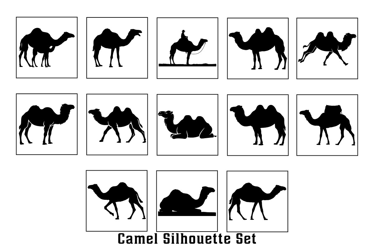 Camel Silhouette set, an Animal Illustration by Unique Design Team
