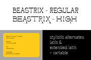 AO Beastrix - Display Typeface, a Font by OwunStudio (Thumbnail 5 of 22)