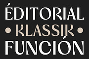 Vogera Minimal Editorial Serif, a Serif Font by Lettertype Studio (Thumbnail 13 of 15)