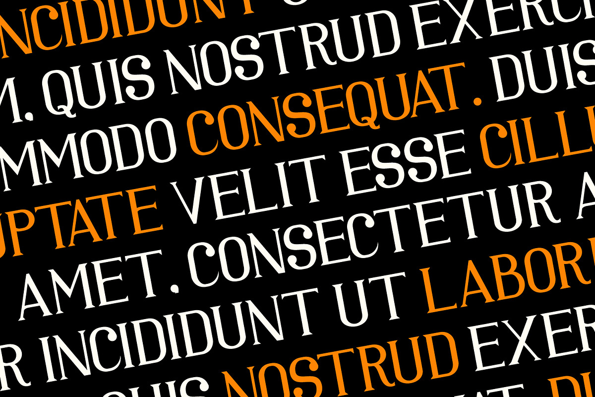 Colvane - Modern Serif Font, a Serif Font by Rishsketch (Photo 12 of 15)