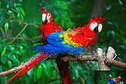 Shatter Photoshop Action, an Action Add-On by MRI STUDIO (Thumbnail 2 of 10)