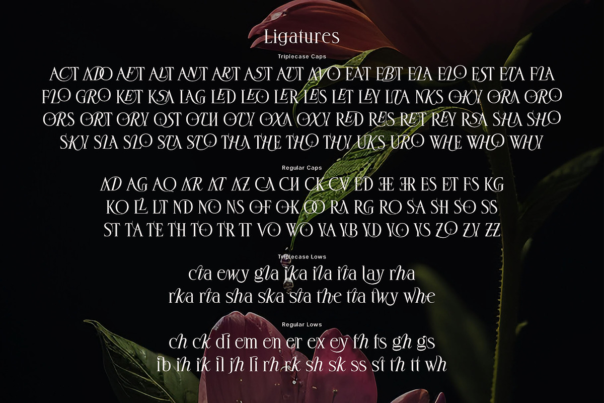 Deloca Moreys Typeface, a Serif Font by alit design (Photo 19 of 20)