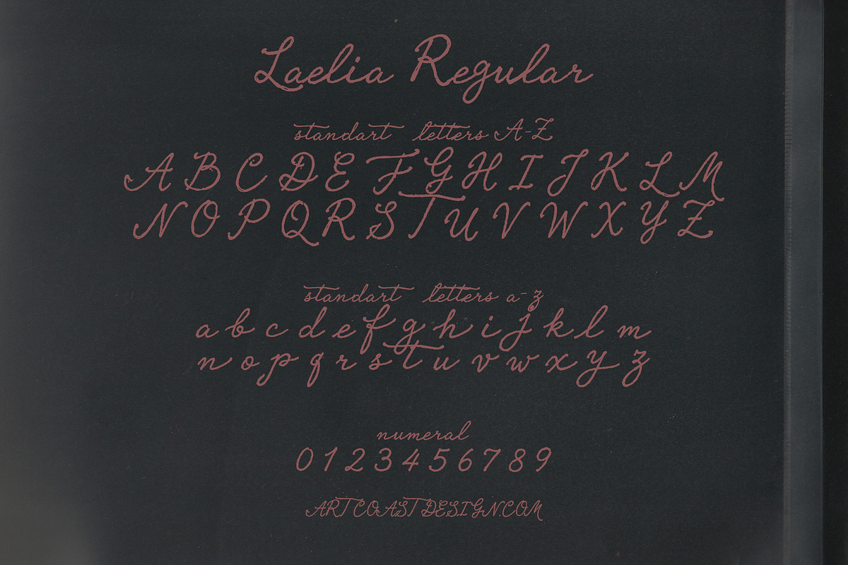Laelia Font Family | Elegant Script, a Script Font by nadispasibenko (Photo 5 of 11)