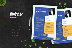 Bluessy Resume