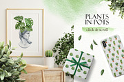 House plant watercolor collection, an Illustration by Color Hugs Art (Thumbnail 5 of 10)