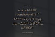 Bequta | Luxury Modern Serif, a Serif Font by gracetype_studio (Thumbnail 11 of 12)
