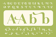 Qoncila - Modern Retro Swash Serif, a Serif Font by Qweera Studio (Thumbnail 12 of 12)