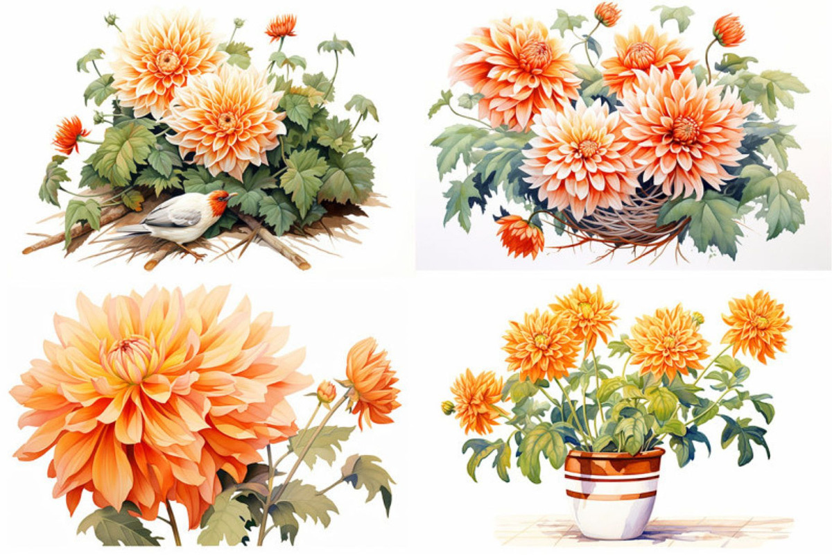 Dahlia Floral, a Seasonal Illustration by artsy-fartsy (Photo 5 of 6)