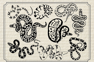 Snake SVG, Snake Stencils