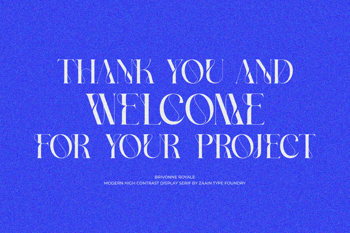 Brivonne Royale, a Serif Font by zaaintype (Photo 12 of 12)