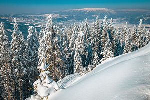 Real winter landscape, a Nature Photo by Alpine Dreams