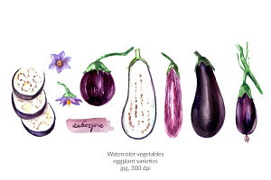 Watercolor vegetables. Eggplant., a Food Illustration by katya.bogina