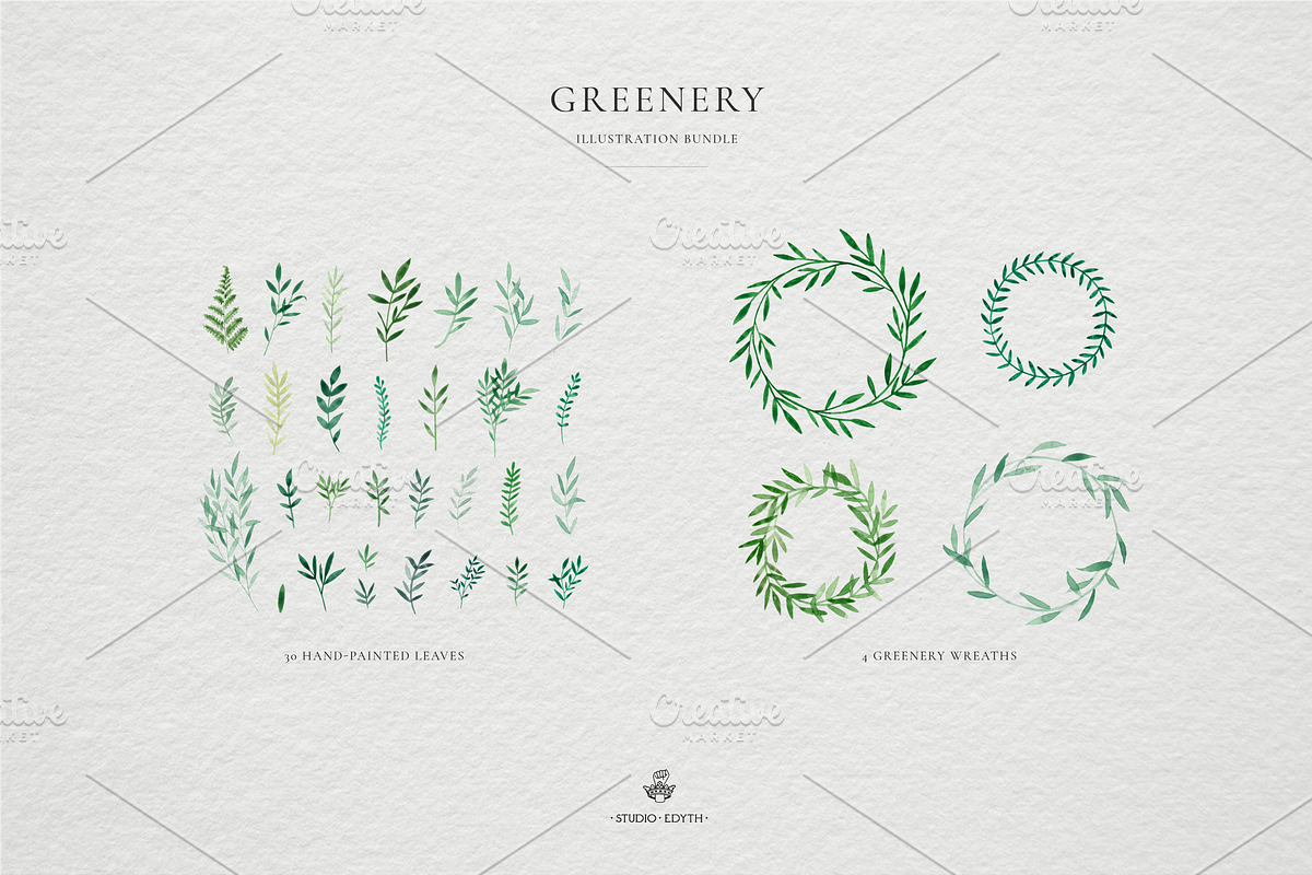 Watercolor Greenery Bundle, an Illustration by Studio Edyth (Photo 2 of 4)