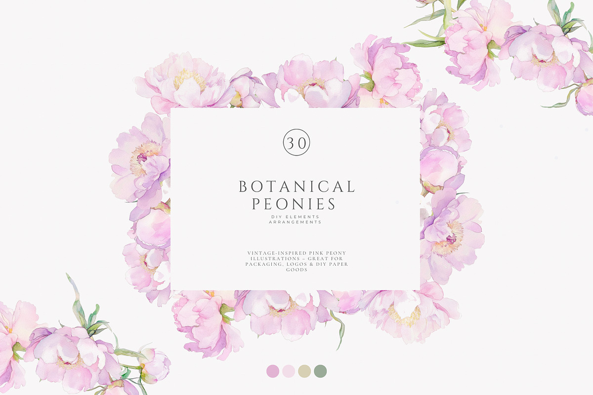 watercolor coquette pink peony set, a Decorative Illustration by Patishop Art (Photo 5 of 10)