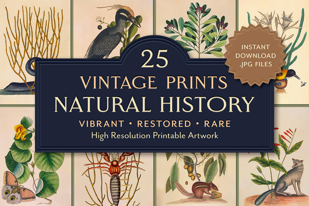 Vintage Natural History Printable Art