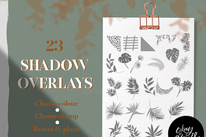 Wild Shadow Overlays For Procreate