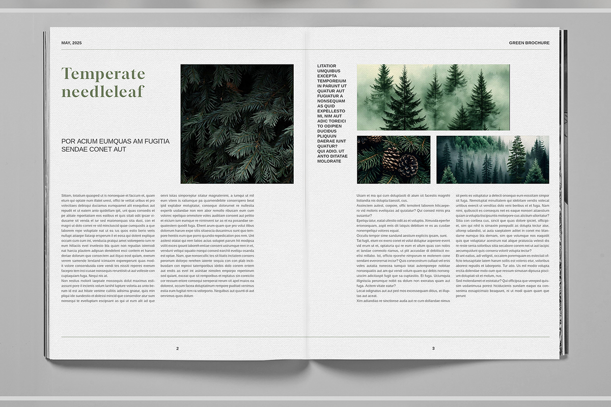 Deep Green Nature Brochure Template, a Brochure Template by Boris Cupac (Photo 4 of 7)