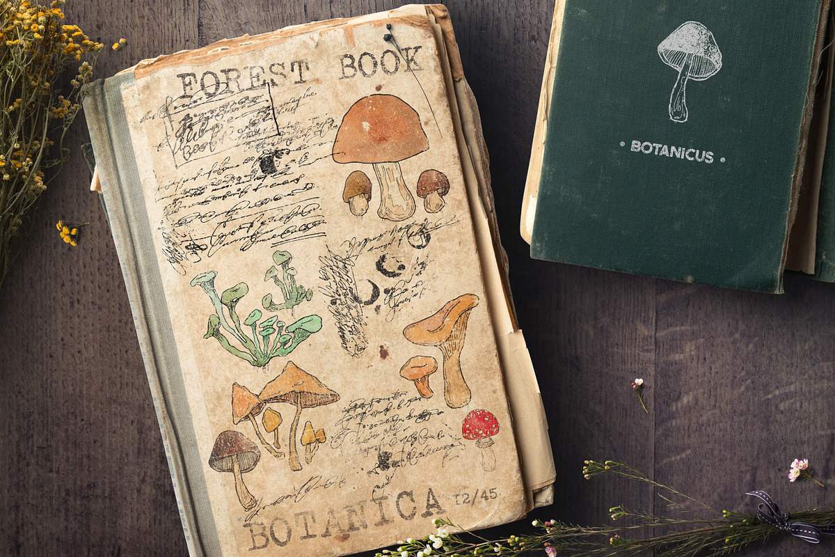 WATERCOLOR MUSHROOMS SET. vol1., an Animal Illustration by Krapio (Photo 3 of 4)