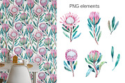 Protea flowers watercolor pattern, a Pattern Graphic by Robusta (Thumbnail 5 of 5)