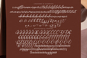 Lively Violet, a Script Font by operatype.co (Thumbnail 14 of 15)