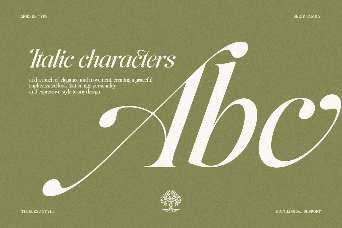 The Andalucia Serif, a Serif Font by Pista Mova (Photo 3 of 26)