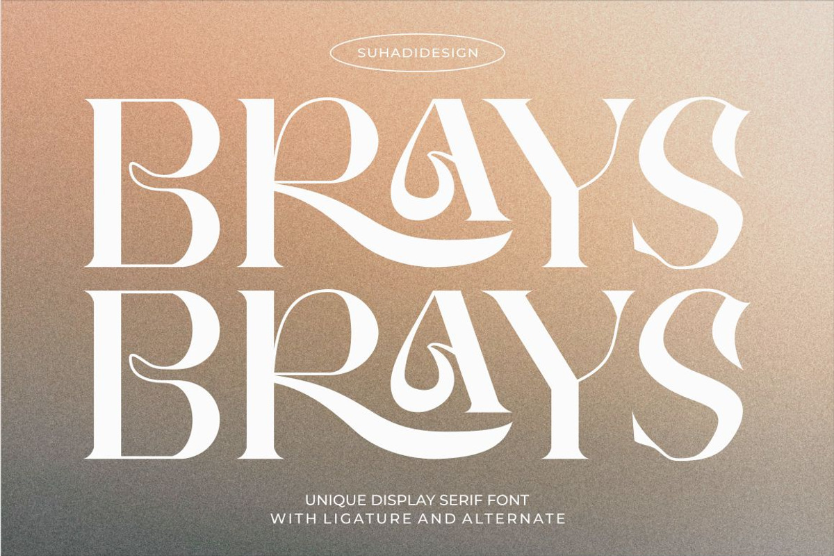 Brays unique display serif font, a Serif Font by suhadidesign (Photo 1 of 11)
