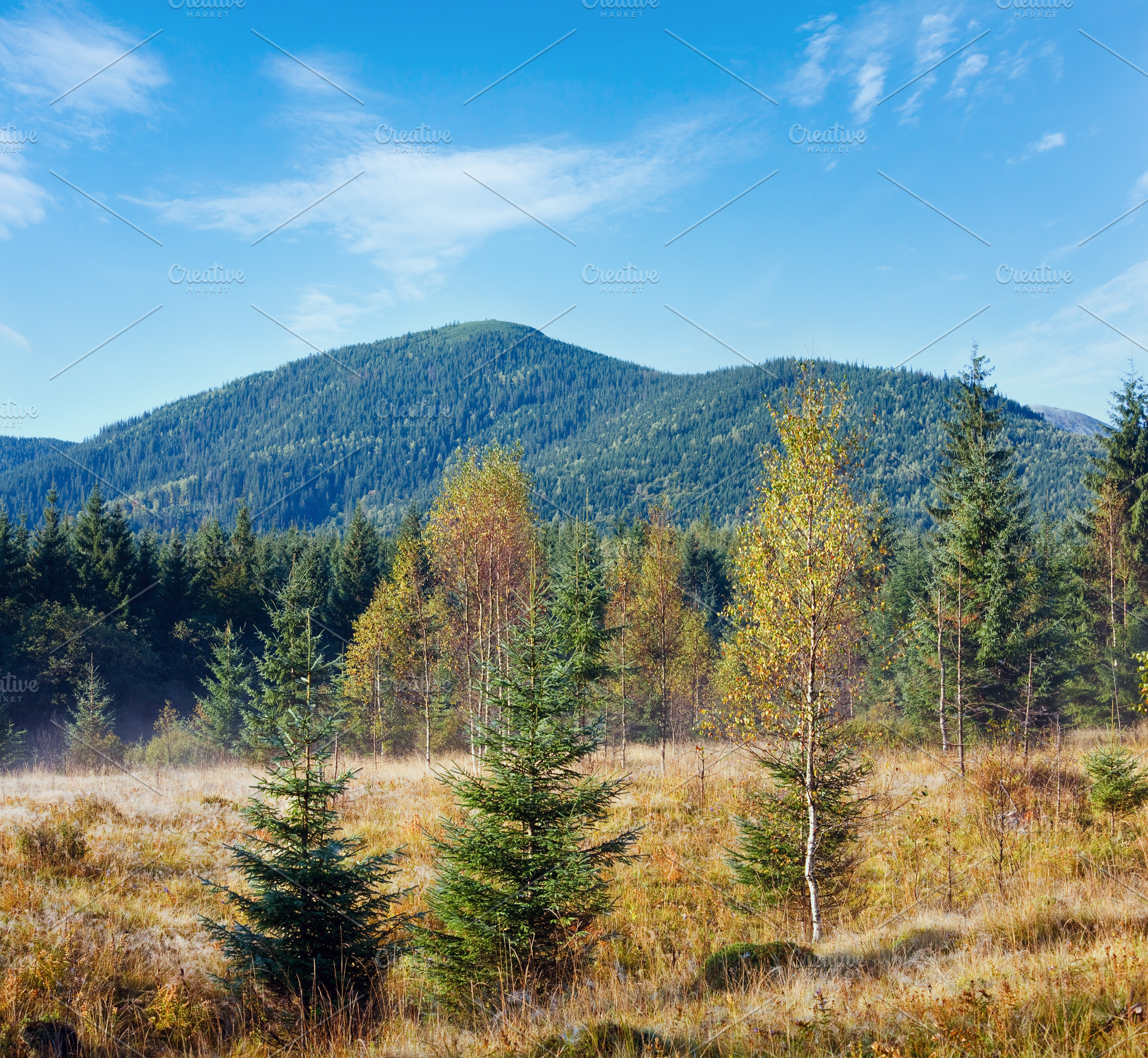 Morning misty autumn mountain landscape, a Nature Photo by YuriyB