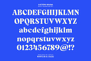 Gattino Spazio - Bold Serif Typeface, a Serif Font by Mbonster Design Studio (Thumbnail 17 of 20)