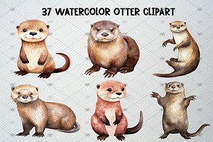 Watercolor Otter Clipart Set, 37 PNG