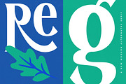 Regolvis Modern Display Serif, a Serif Font by timelesstype.co (Thumbnail 3 of 20)