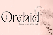 Orchid Sans Serif Font Family