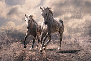 14 Landscape Sensation Presets, a Preset Add-On by Timeless Presets (Thumbnail 12 of 13)
