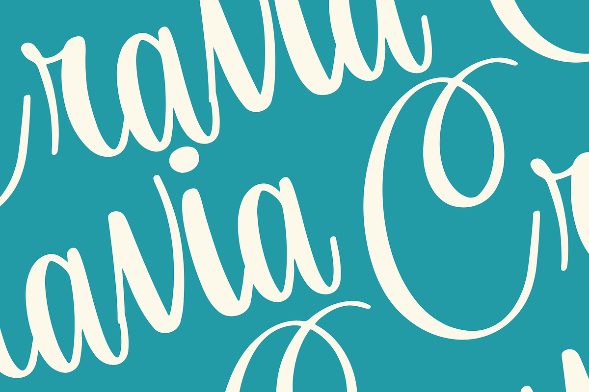 Orchidia, a Script Font by Dm Studio (Photo 4 of 11)