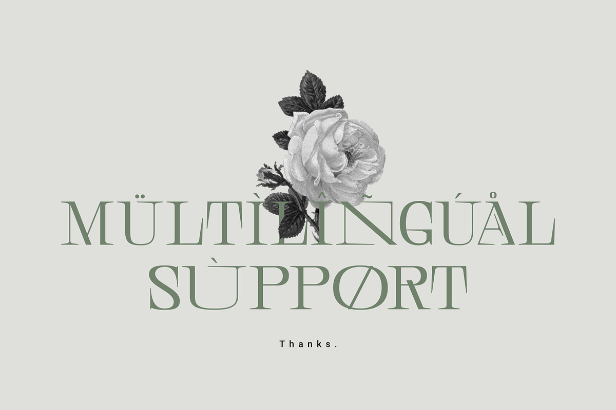 Central Display, a Serif Font by Prioritype Co (Photo 10 of 10)
