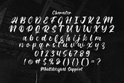 Riqage - Textured Brush Font, a Script Font by StringLabs (Thumbnail 12 of 13)