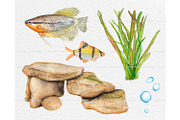 Watercolor tropical fish clipart, an Animal Illustration by ArtfulStudio (Thumbnail 4 of 8)