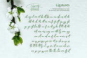 Hosperity Font, a Handwritten Font by Letterhanna Studio (Thumbnail 4 of 13)