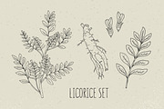 Licorice set and seamless pattern, a Decorative Illustration by Good Studio (Thumbnail 2 of 5)