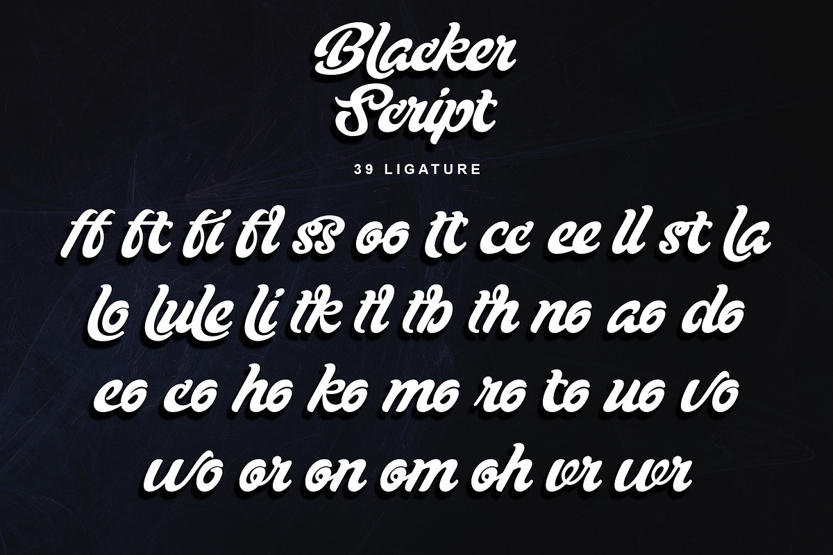 Blacker Script, a Script Font by Letterara (Photo 10 of 13)