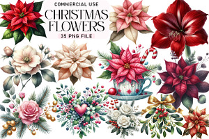 Christmas Flowers Clipart, an Illustration by Daily.Designs