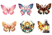 Watercolor  Night Moths Clipart, an Illustration by CreationArt (Thumbnail 4 of 6)