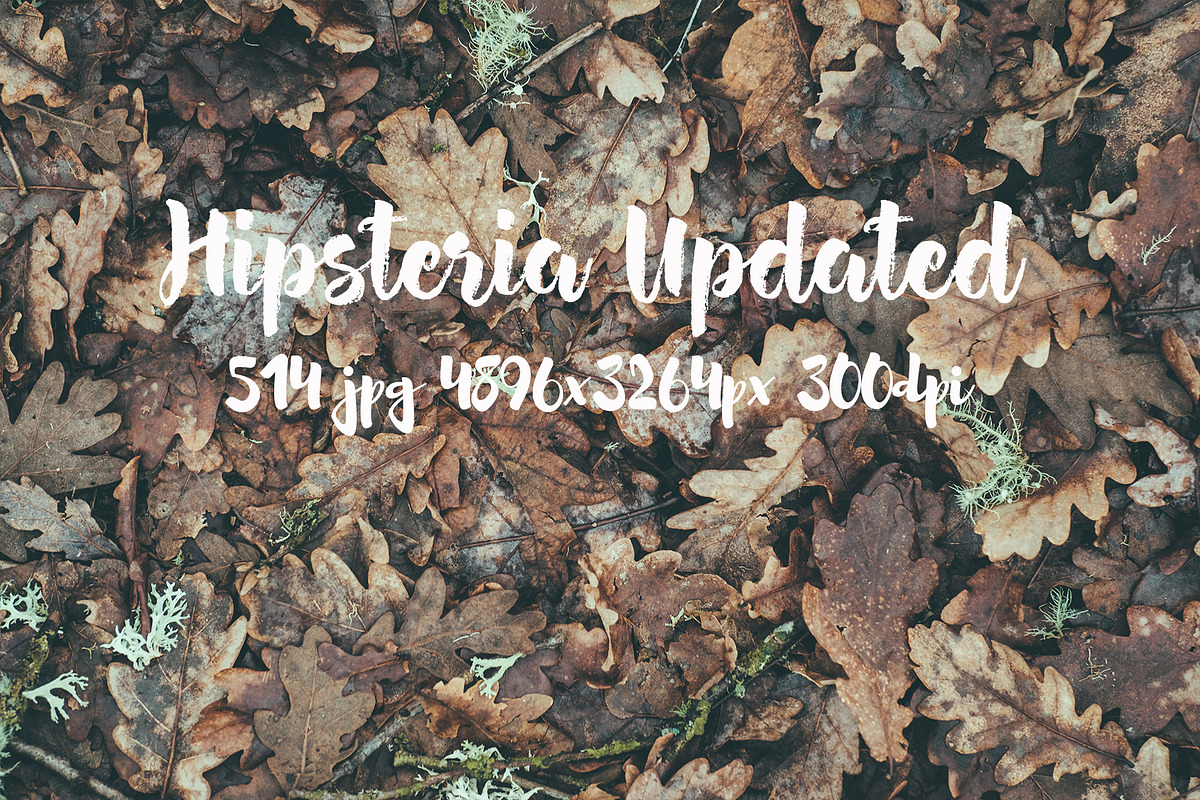 Hipsteria photo pack, a Templates & Theme by ApertureVintage (Photo 44 of 48)