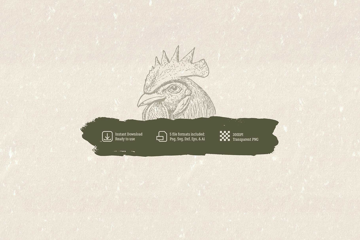 Vintage Chicken Illustrations Vector, an Animal Illustration by Seaquint (Photo 3 of 3)