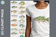 Lake Fish Clipart, 24 PNG Bundle, an Animal Illustration by Enliven Designs (Thumbnail 1 of 8)