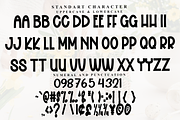 Alphabet School, a Script Font by FreshTypeINK (Thumbnail 7 of 7)